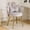 Light Gray, variant on Ktaxon Vanity Makeup Chair Comfy Accent Chair Small Office Chair with Flower Back and Lumbar Pillow for Living Dining Room Bedroom Home Office Velvet Beige