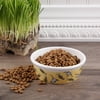 Gibson Home Designer 4.5" Assorted Cat Bowl