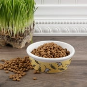 Gibson Home Designer 4.5" Assorted Cat Bowl