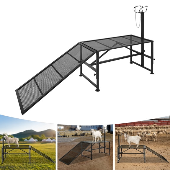 Livestock Trimming Stand With a Ramp, Metal Milking Stand, Adjustable Height