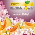 thumbnail image 2 of Air Wick Life Scents Summer Delights Scented Oil Refills, 0.67 oz, 5 ea (Pack of 4), 2 of 9