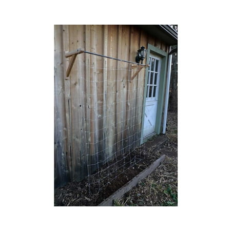 Creekvine Designs Cedar Skyscraper Garden Trellis