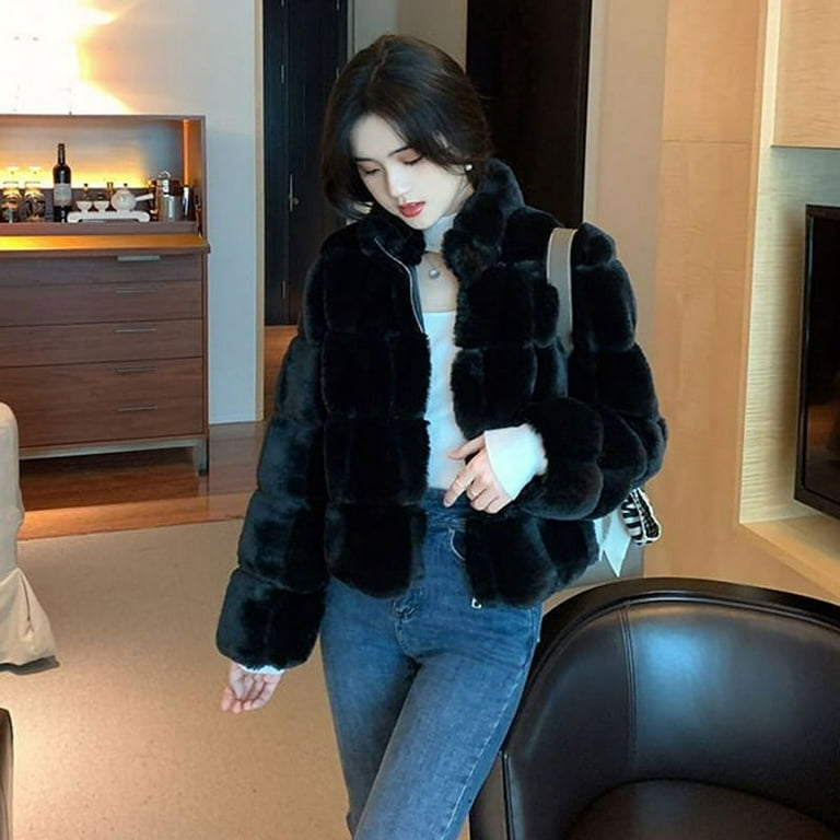 DanceeMangoo Luxury Faux Rabbit Fur Coat for Women Korean Chic Short Zipper Faux  Fur Jacket Ladies Winter Thick Warm Plush Jackets 