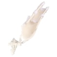 thumbnail image 4 of Férula de Húmero ANGGREK ajustable Antideslizante, 4 of 8
