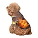 thumbnail image 5 of Balery Western Fire Cowboy Sudadera con Capucha para Perros Pequeños – Ropa para Mascotas, Disfraz para Perros y Gatos, Ideal para Fiestas y Cosplay-X-Large, 5 of 7