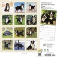 thumbnail image 2 of BERNESE MOUNTAIN DOGS THE BEAUTY OF 2024, 2 of 8