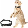 thumbnail image 2 of Collares reflectantes para gatos, collar reflectante con hebilla de campana, accesorio ajustable personalizado para gatos - 12 colores a elegir -, 2 of 5