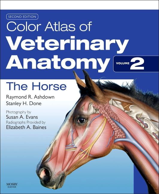 Volume 3 2e Color Atlas of Veterinary Anatomy The Dog and Cat 