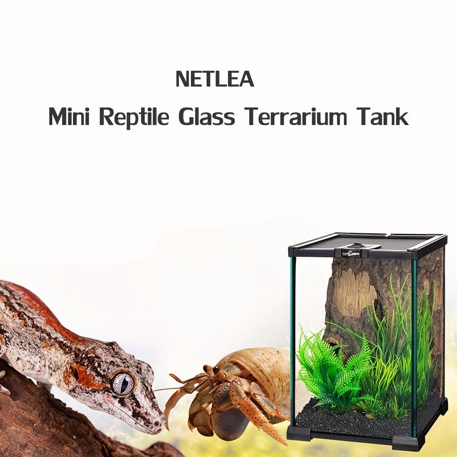 FINAQUA Reptile-specific glass terrarium with top opening and locking lid, suitable for lizards / geckos / frogs