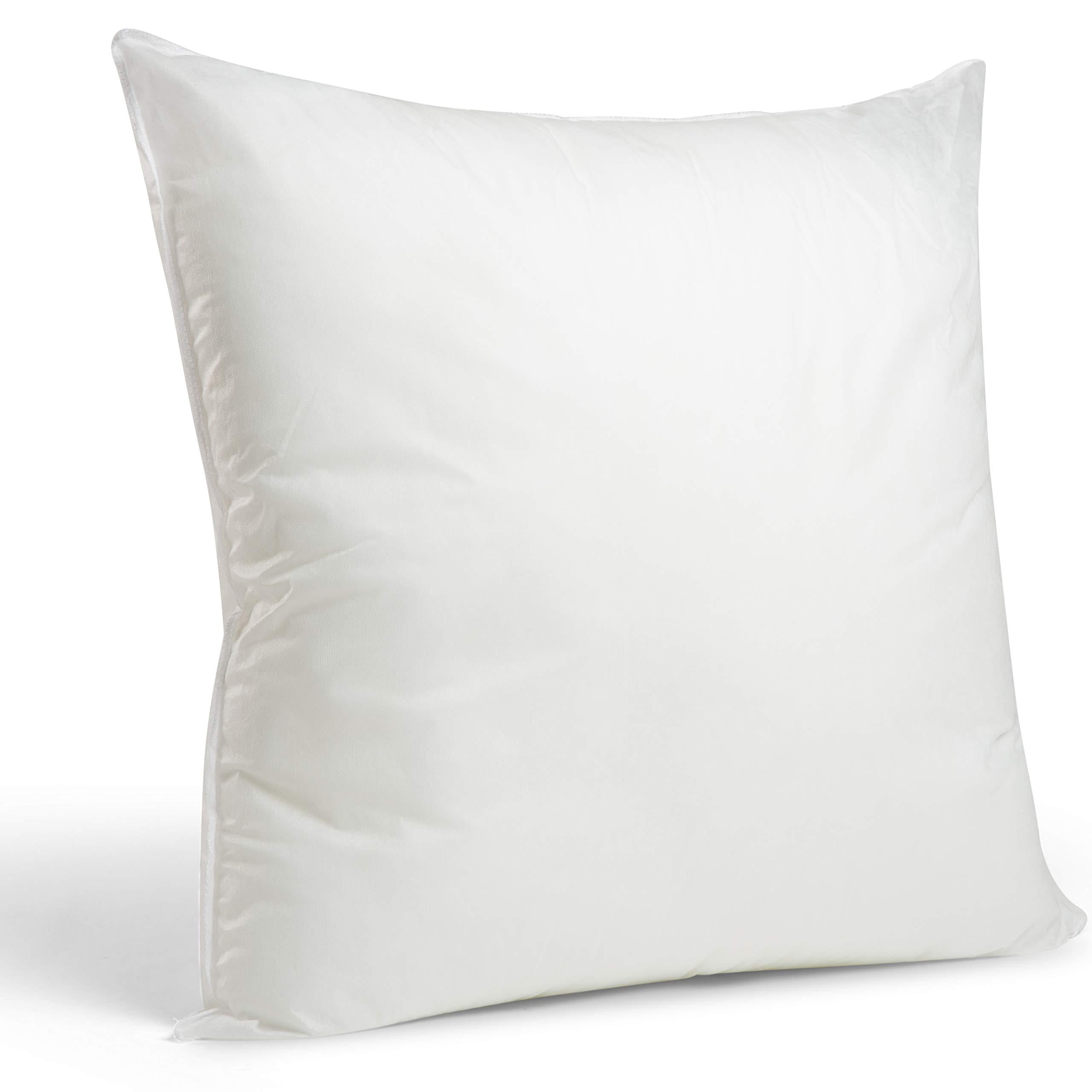 Bluffy Soft Throw Pillows Inserts Lightweight Down Alternative Polyester Pillows Couch Cushion Sham Stuffer Set of 2 26x26 