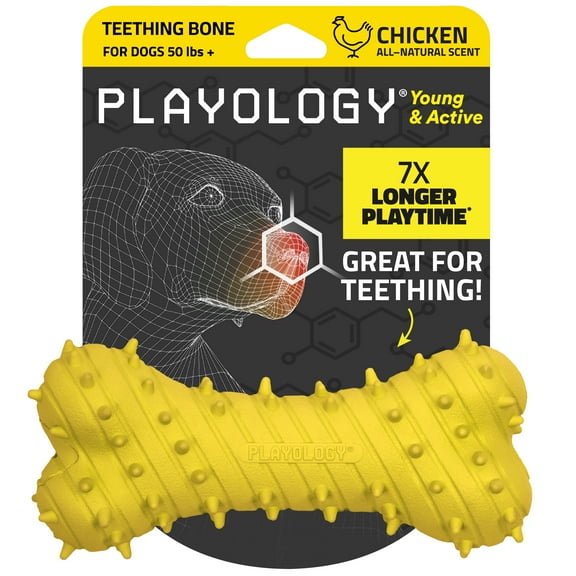Playology Dog Toys | Puppy Teething Toy Bone, Beef Scented Toy, Medium