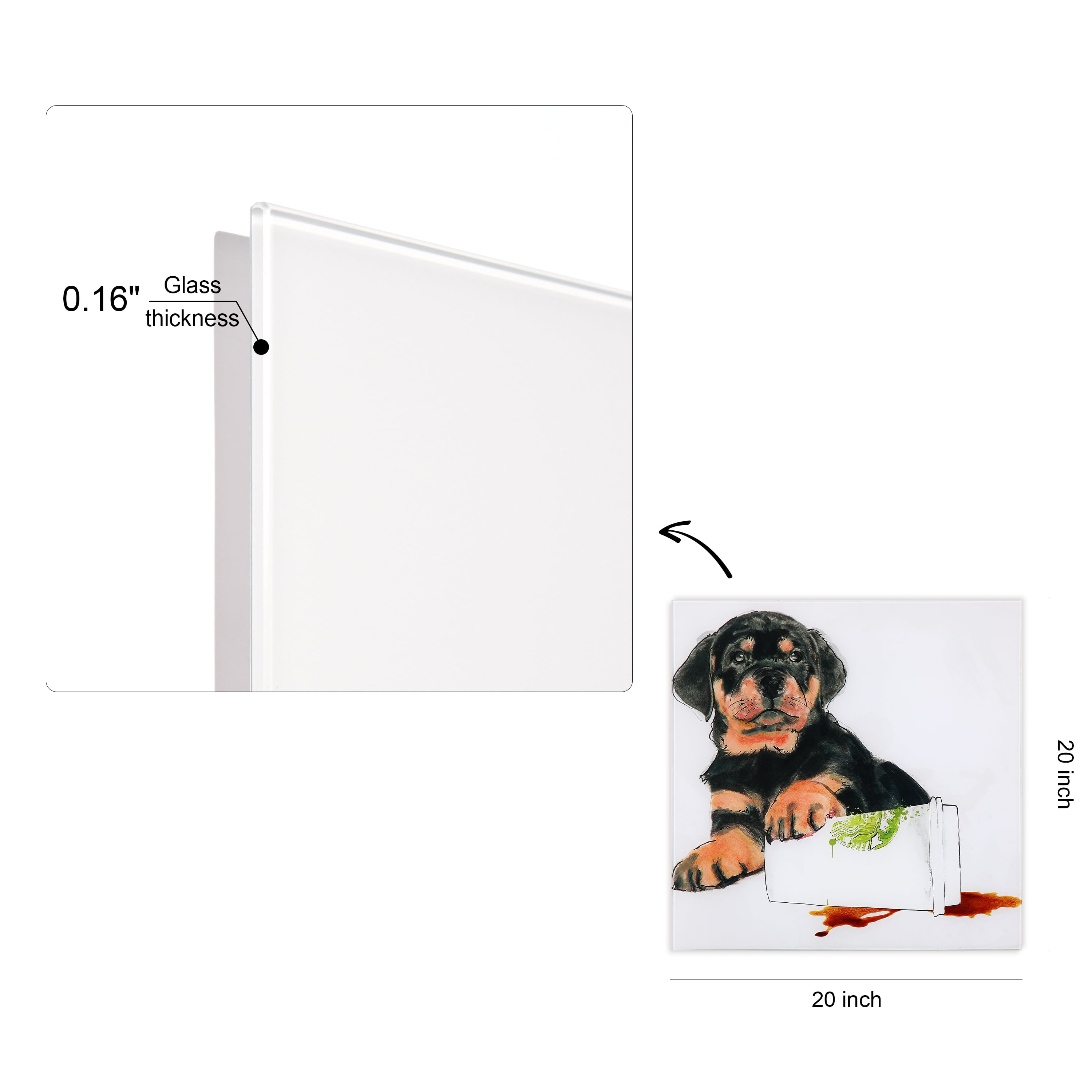 Empire Art Direct Java's Paw Frameless Free Floating Tempered Glass Panel Graphic Dog Wall Art, 20" x 20", Ready to Hang
