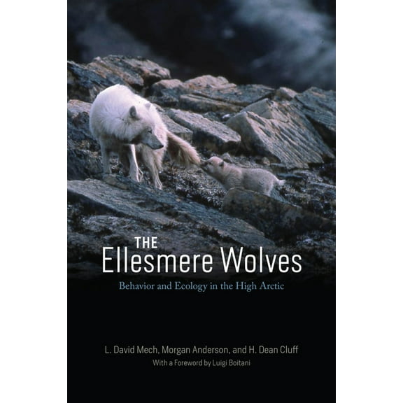 The Ellesmere Wolves: Behavior and Ecology in the High Arctic, (Paperback)