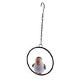 thumbnail image 2 of Adorno de regalo de pájaro animal de resina para jardín al aire libre de pie del anillo #2 Pájaro en el anillo n.  degree 2 Cola Escultura de pájaro de resina, 2 of 8