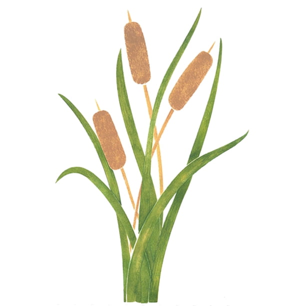 Cattails Wall Stencil E163 by Designer Stencils