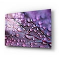 thumbnail image 2 of Epic Art 'Dewdrops' by Unknown Artist, Acrylic Glass Wall Art, 24"x16", 2 of 8