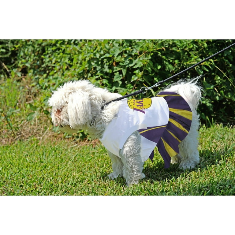 Los Angeles Lakers Cheerleader Dress
