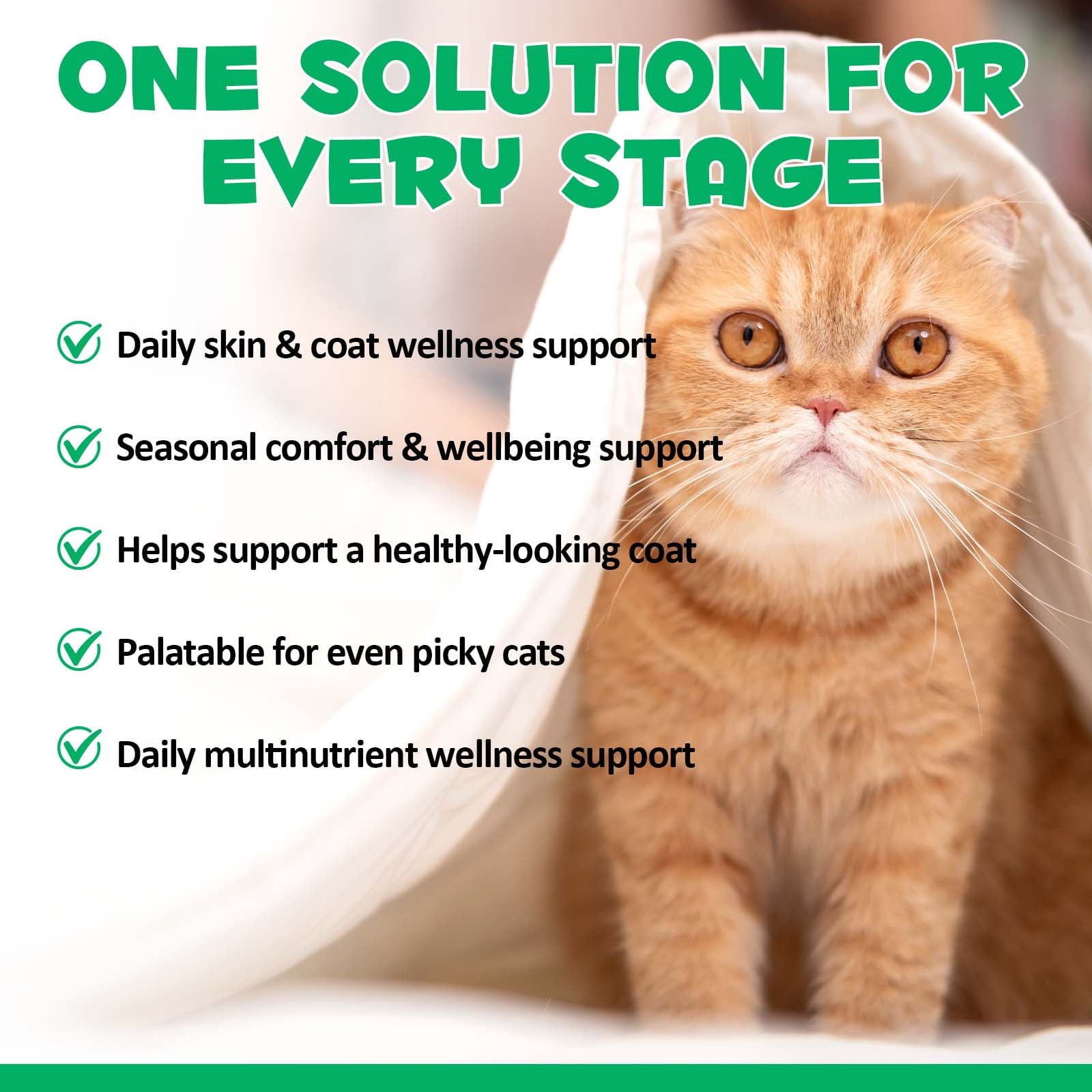 Oimmal Skin & Coat Chews for Cats, Daily Support Treat with Pumpkin & Yeast, Natural De-woming Treats for Digestive & Skin Health, 3.7oz/100g, Chicken Flavor - 5Pack