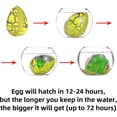 thumbnail image 2 of Luniquz Dinosaur Party Favors Funny Mini Dinosaur Toys Dinosaur Birthday Party Supplies 24 Pack Dino Eggs and 24 Hatching Card Bulk Gifts Novelty Birthday Party Decorations for Kids, 2 of 5