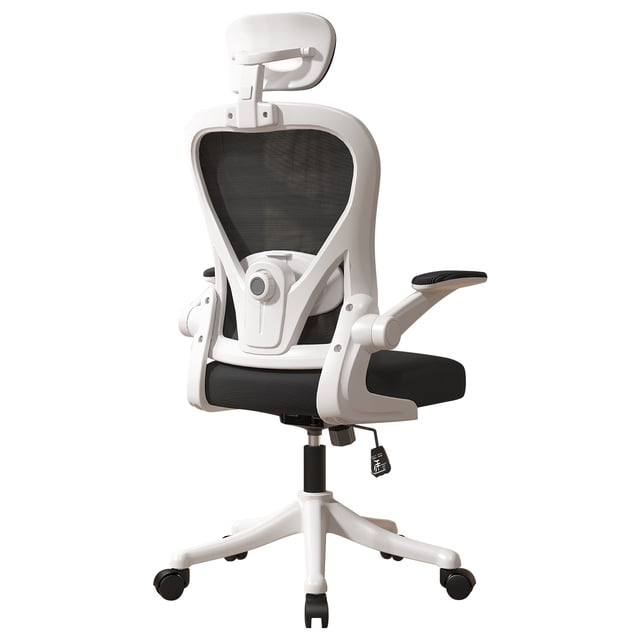 Silla Amia Ergonómica De Escritorio Oficina Soporte Lumbar Elástico Giratoria