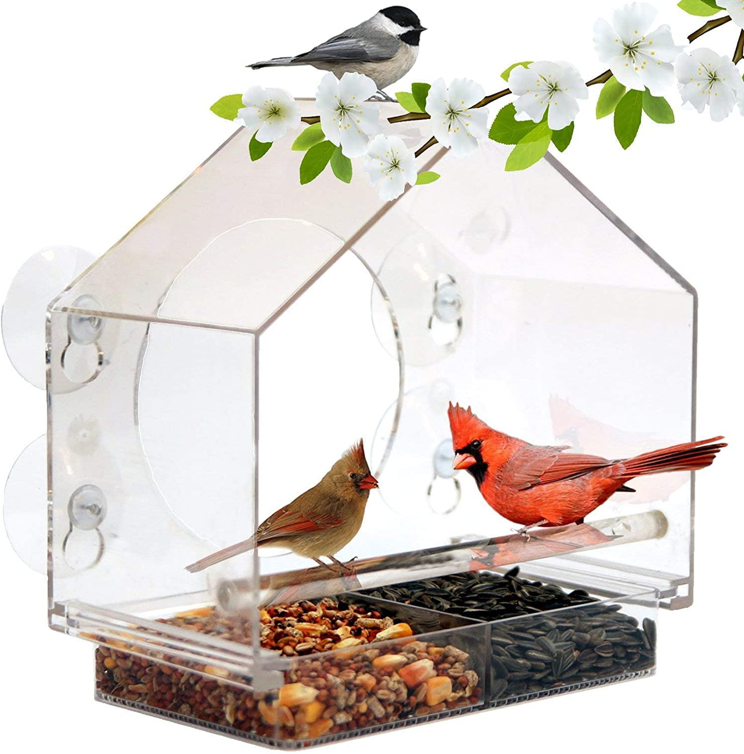 Garden Bird Feeding Table Clear Hanging Feeder Squirrel Proof Window Suction Cup 