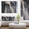 thumbnail image 1 of Design Art - Sunbeams through Black White Forest, 1 of 3