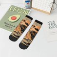thumbnail image 7 of Naloa Playful Otter Tropical Beach Ankle Socks for Women Non Slip Socks No Show Socks Classic Low Cut Casual Socks Casual Socks, 7 of 7