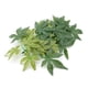 thumbnail image 5 of Planta Artificial Verde, Hojas Falsas, Acuario, Terrario para reptiles, decoraciones para un hermoso mundo submarino, 5 of 7