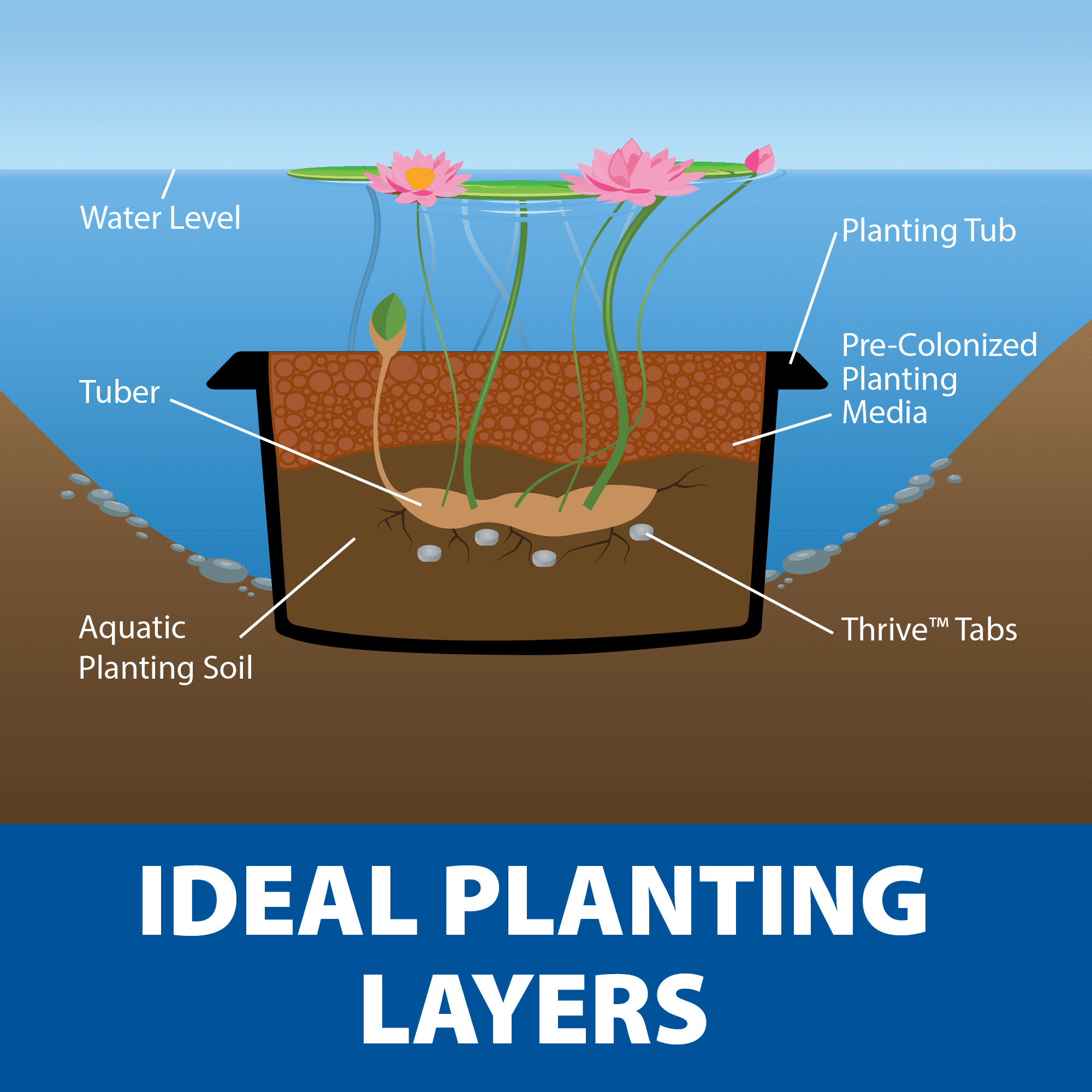 The Pond Guy Planting Tub Kit for Aquatic Plants with Soil & Media, Outdoor Water Garden Planter Pot for Lily, Lotus & Bog Plants, Small Tub Kit