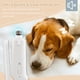 thumbnail image 5 of Cortaúñas y cortauñas para mascotas 2 en 1 Cortaúñas eléctrico para perros, 5 of 8