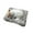 E, variant on TIELUTT Funny Sleeping Toys Cat in the Mattress Toy Mini Cat in Shoe with Meows Sounds Sleeping Cute Kitty Toys for Kids Boys Girls