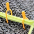 thumbnail image 5 of Washranp 100Pcs Plastic Plant Fixing Clips,Anti-winding Sharp Tip 2Forks Flower Strawberry Stolon Clamp Planting Tool, 5 of 6