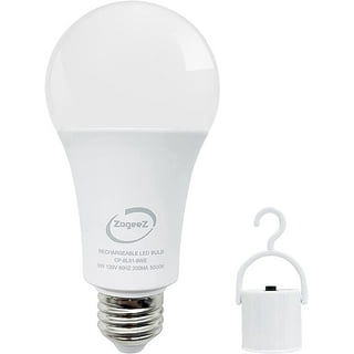 6v 5 4w Emergency Light Bulb