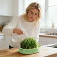 thumbnail image 4 of Tauxra Pineapple Shaped Hydroponic Nursery Tray Soils Free Countertop Decoration For Easy Sprouting, 4 of 6
