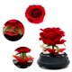 thumbnail image 3 of Rosas eternas auténticas: regalo de flores preservadas con luces LED para San Valentín, aniversarios. Un regalo elegante para novia, esposa, madre y mujer (rojo)., 3 of 5