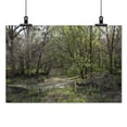 thumbnail image 2 of Print: Rural Alabama In The Spring, 2010, 2 of 4