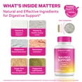 thumbnail image 2 of Pink Stork Vitamin B6, Ginger, Electrolyte Capsule, Natural Digestive Support, Gentle on Stomach, 60 Count, 2 of 9