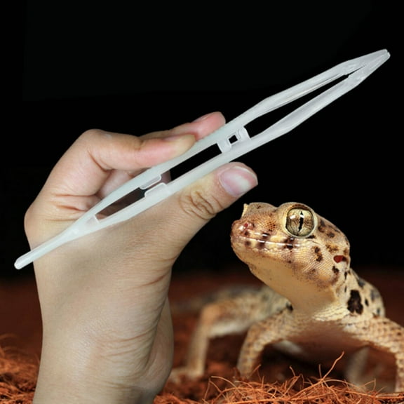 Raindrops Reptile Feeding Tweezers 1Pcs for Lizards Frogs 18x3.5x1in