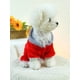thumbnail image 3 of 1pc Pet Clothes Cat/dog Winter Hoodie Costume Soft & Warm & Cute Vanilla Bear Red, 3 of 5