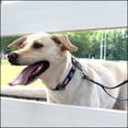 thumbnail image 2 of Country Brook Petz® 1 1/2 inch Premium I Love Mom Dog Collar, Medium, 2 of 7