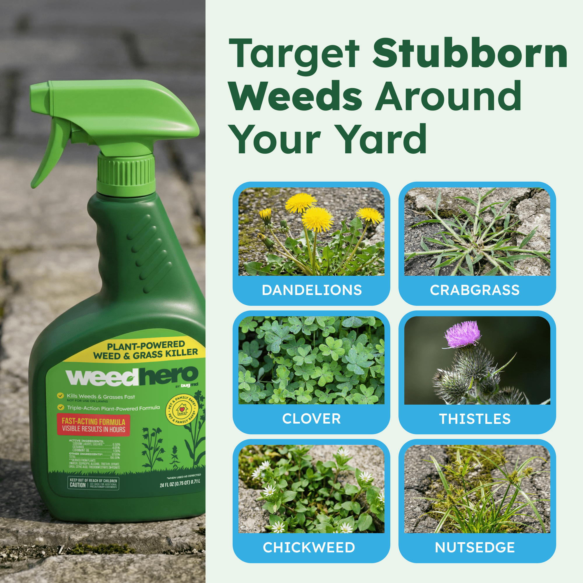 BugMD Weed Hero Plant-Powered Pet-Safe Weed & Grass Killer Spray, Ready-to-Use, 24 fl oz
