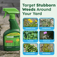 thumbnail image 5 of BugMD Weed Hero Plant-Powered Pet-Safe Weed & Grass Killer Spray, Ready-to-Use, 24 fl oz, 5 of 8
