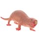 thumbnail image 4 of Cartoon Mole Figurine plástico Mole Craft Simulada Mole Niños Modelo de plástico Mole Juguete, 4 of 7