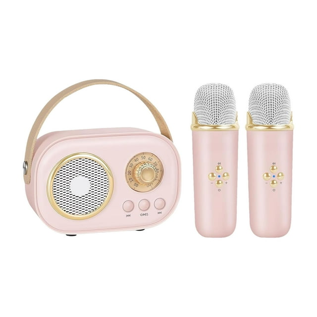 CEHVOM Haut-Parleur Bluetooth, Petite Enceinte, Haut-Parleurs Bluetooth Portables, Ensemble de Mini Machine de Karaoké Confortable pour Enfants avec 2 Microphones pour Cadeau d'Anniversaire