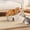 Beige, variant on YQ JENMW Cat Roadster Scratching Board, Corrugated Cardboard Cat Scratcher, Durable Cat Scratcher Lounge Furniture for Kittens & Adult Cats