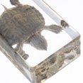 thumbnail image 3 of Luxshiny Turtle Figurine Lifelike Tortoise Statue Garden Turtle For Aquarium Boys And Girls Learning Toy, 3 of 8
