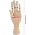 thumbnail image 5 of Modelo de mano de madera, escultura manual, maniquí de madera para mujer, artista corporal, modelo articulado, mano izquierda de 10 pulgadas, 5 of 5