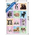 thumbnail image 3 of Keith Kimberlin - Puppies - Cuties Grid, 3 of 5