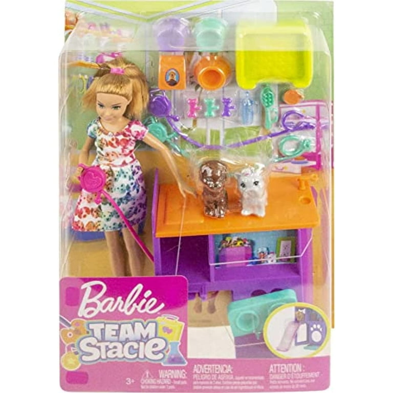 Free Shipping Barbie Team Stacie Puppies Doll Playset 17 Pieces Walmart