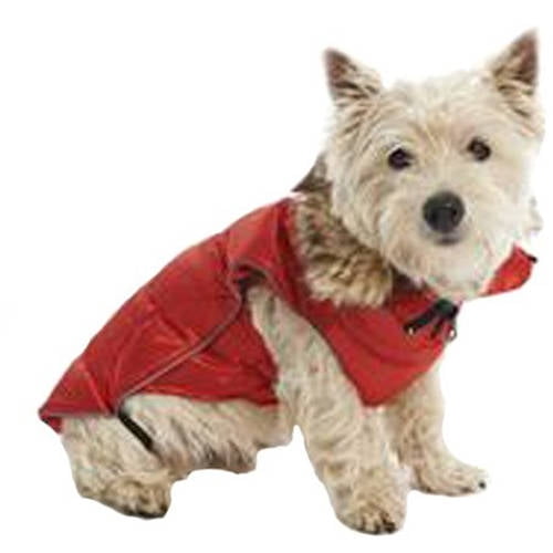 buster outdoor wear dog raincoat